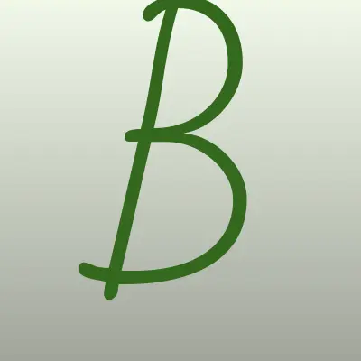 Barakat, лого-визитка