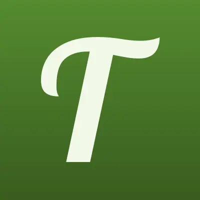 Texas, лого-визитка